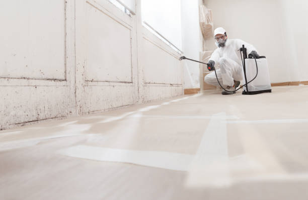Trusted Mold Testing service in Burgess, VA - WQB Mold Removal